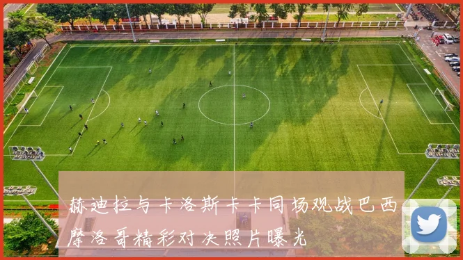 赫迪拉与卡洛斯卡卡同场观战巴西摩洛哥精彩对决照片曝光