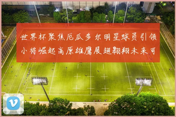 世界杯聚焦厄瓜多尔明星球员引领小将崛起高原雄鹰展翅翱翔未来可期